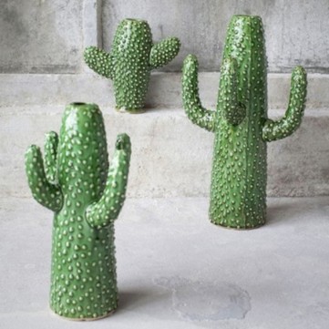cactus-vases